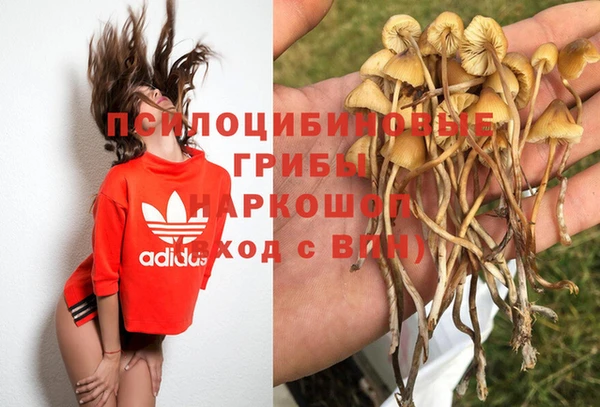 стафф Волоколамск