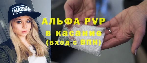 стафф Волоколамск