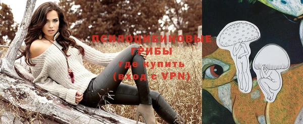 стафф Волоколамск