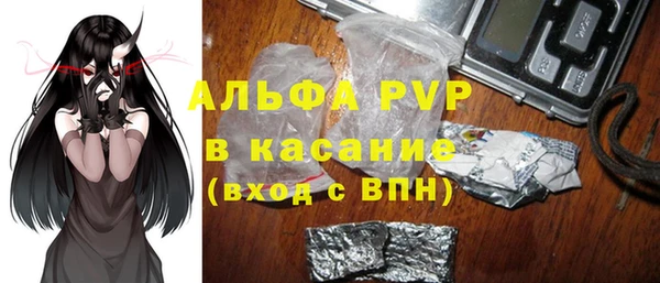 стафф Волоколамск