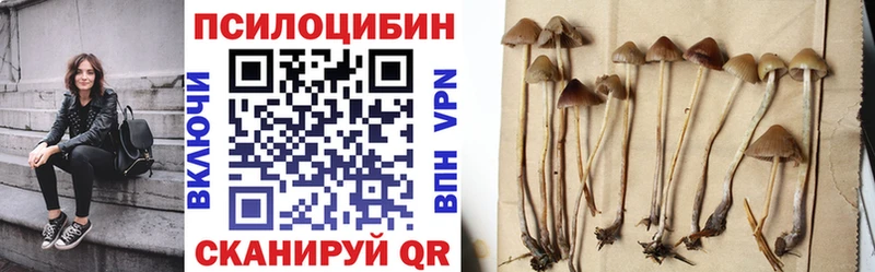 Галлюциногенные грибы прущие грибы  Заполярный 